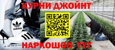 гашик Кандалакша